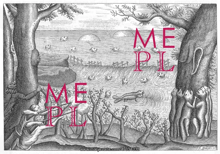  : BEAVERS, 18TH CENTURY