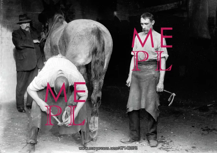 : Beckenham Blacksmith early 1900s : Beckenham Blacksmith early 1900s