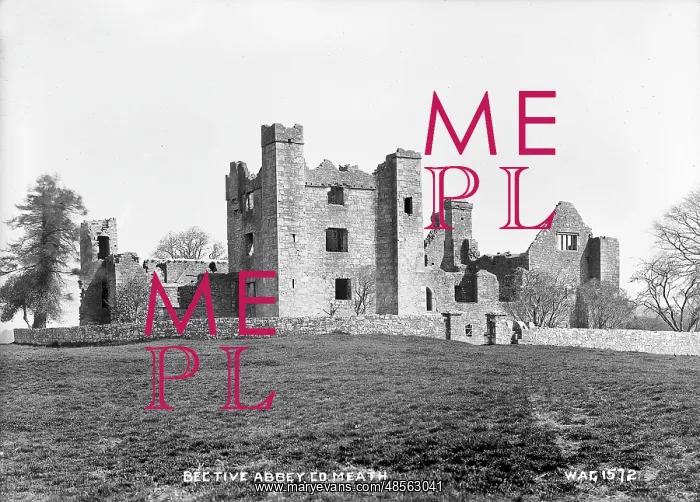 : Bective Abbey, Co. Meath : Bective Abbey, Co. Meath
