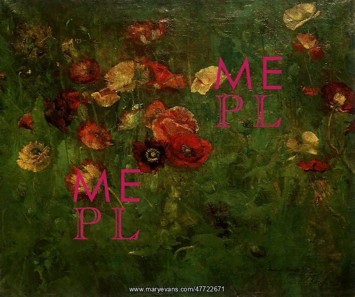  : Bed of Poppies