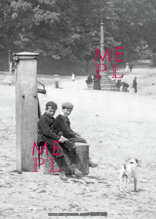  : Bedale, the Village Pump 1896