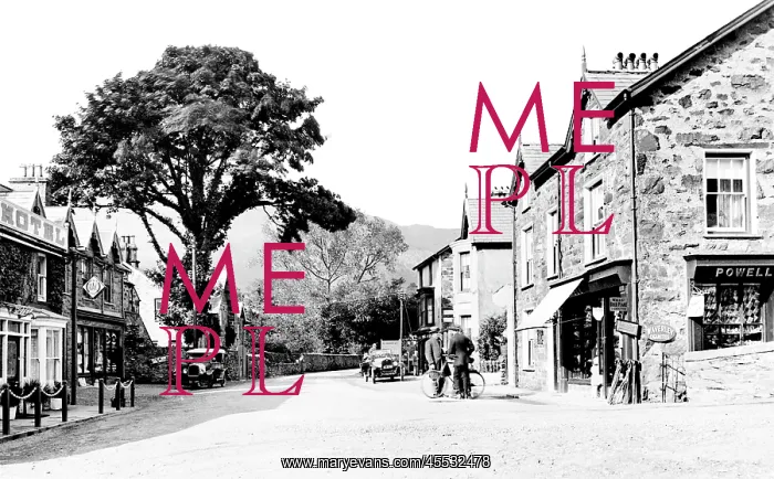  : Beddgelert, the Village 1925