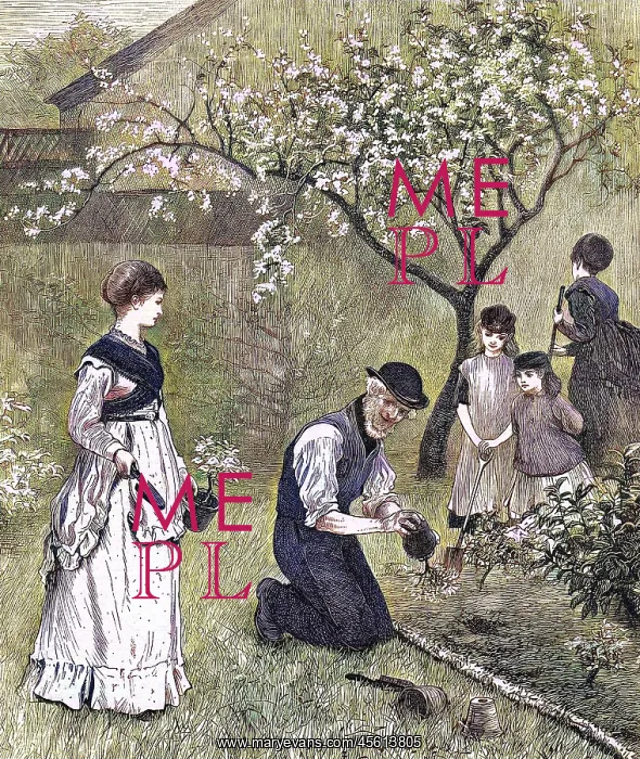 : BEDDING OUT IN JUNE 1870 : BEDDING OUT IN JUNE 1870