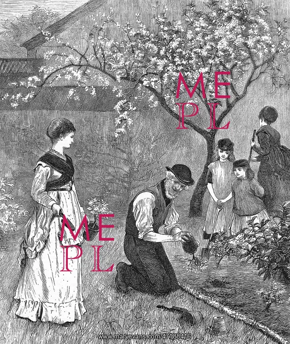 : BEDDING OUT IN JUNE 1870 : BEDDING OUT IN JUNE 1870