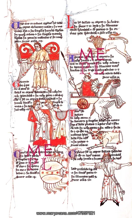 : Bede's Constellations : Bede's Constellations