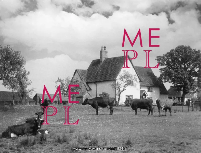 : BEDFORDSHIRE FARMHOUSE : BEDFORDSHIRE FARMHOUSE