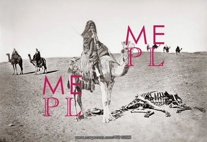  : Bedouin on camel beside skeleton, Egypt, c.1880's