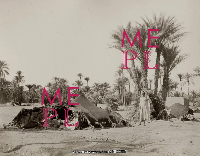 : Bedouin camp, Biskra, Algeria : Bedouin camp, Biskra, Algeria
