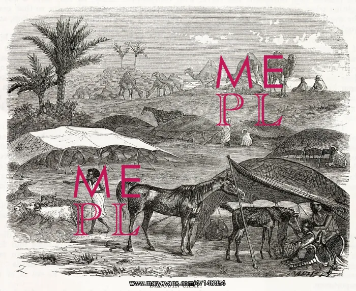  : Bedouin camp in the desert