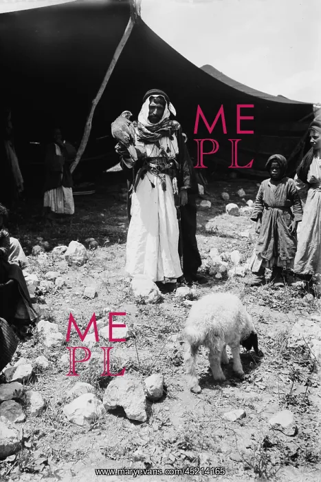 : Bedouin hunter with his falcon and child, ? : Bedouin hunter with his falcon and child, ?