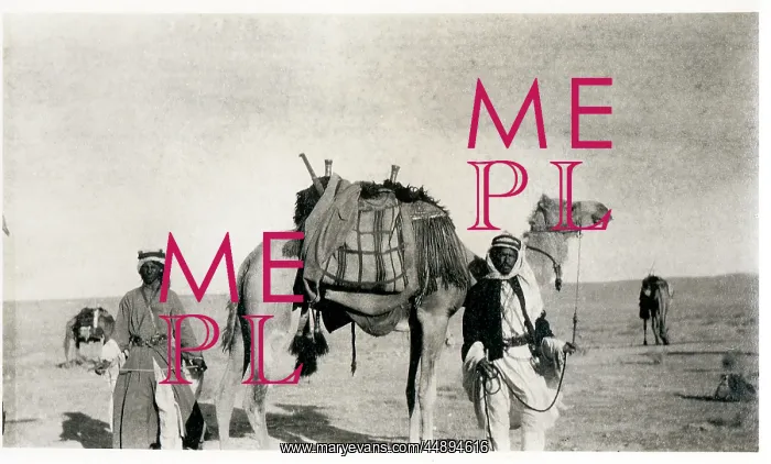 : Two Bedouin men with a camel, Middle East : Two Bedouin men with a camel, Middle East