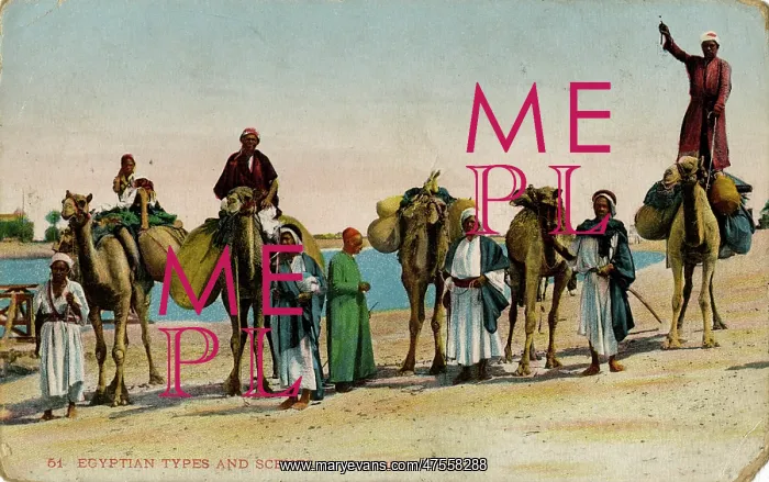 : Bedouins and camels in the desert, Egypt : Bedouins and camels in the desert, Egypt