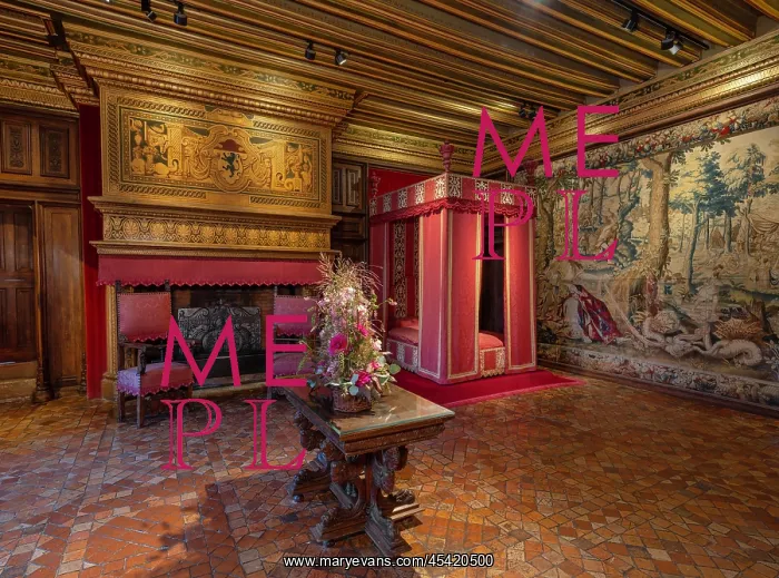 : Bedroom of Cesar de Vendome, Chateau de Chenonceau : Bedroom of Cesar de Vendome, Chateau de Chenonceau