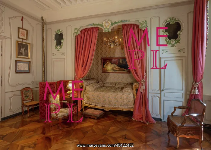 : Bedroom of the Comtesse de Seve, Chateau de Flecheres, Ain : Bedroom of the Comtesse de Seve, Chateau de Flecheres, Ain