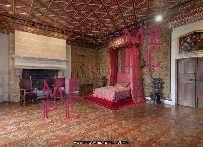 : Bedroom of the Five Queens, Chateau de Chenonceau : Bedroom of the Five Queens, Chateau de Chenonceau