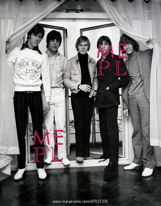 : The Bee Gees 1958 - 2003 : The Bee Gees 1958 - 2003