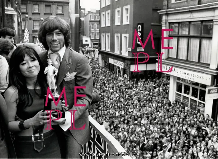 : The Bee Gees 1958 - 2003 : The Bee Gees 1958 - 2003