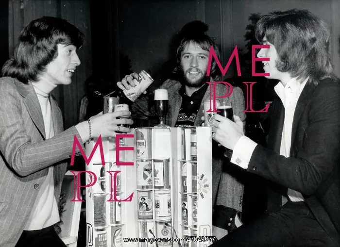 : The Bee Gees 1958 - 2003 : The Bee Gees 1958 - 2003