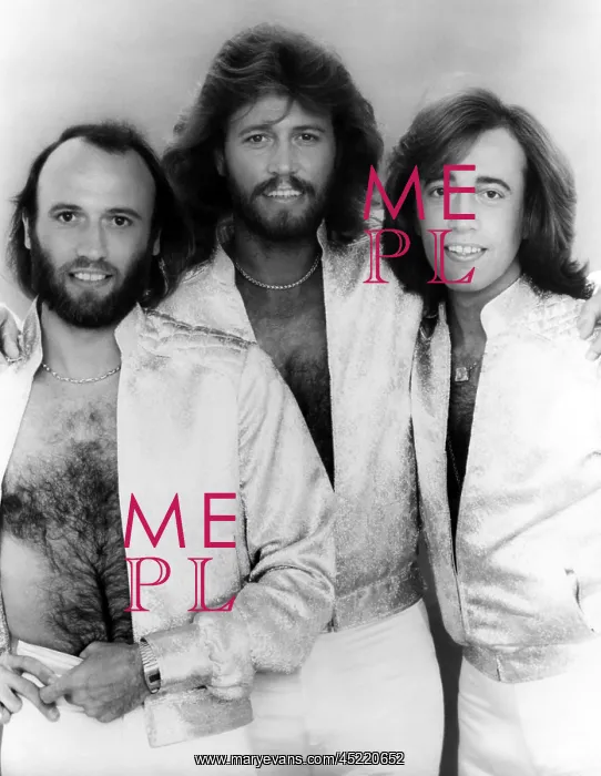 : The Bee Gees, Maurice Gibb, Barry Gibb, ? : The Bee Gees, Maurice Gibb, Barry Gibb, ?