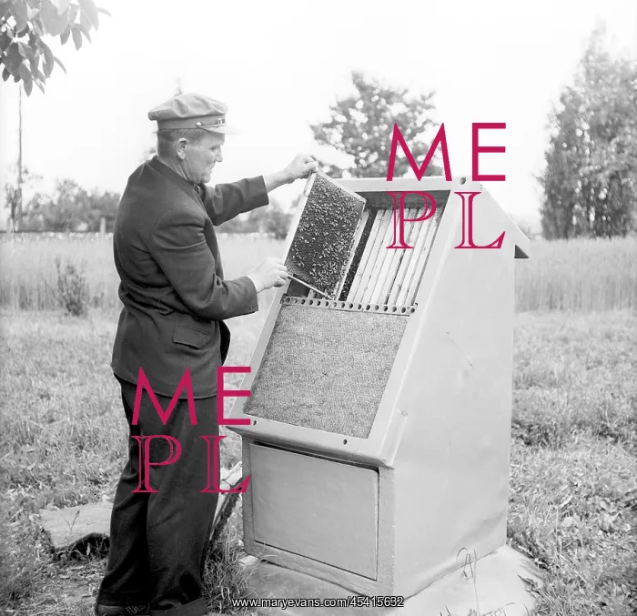 : Bee hive - bee keeper : Bee hive - bee keeper