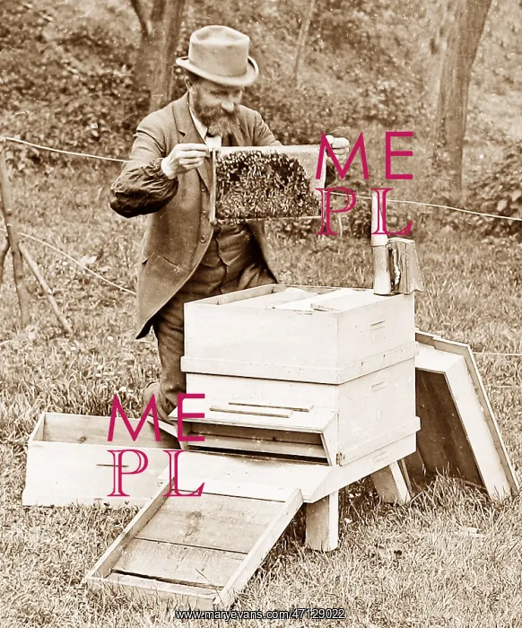 : Bee keeper