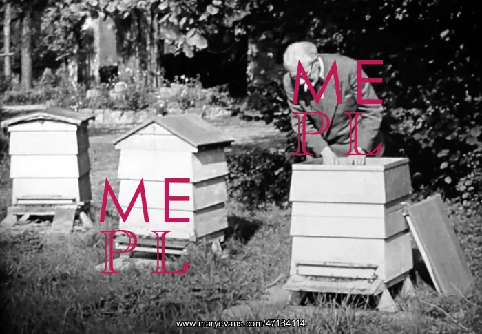  : Bee keeper