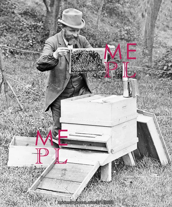  : Bee Keeper Victorian period