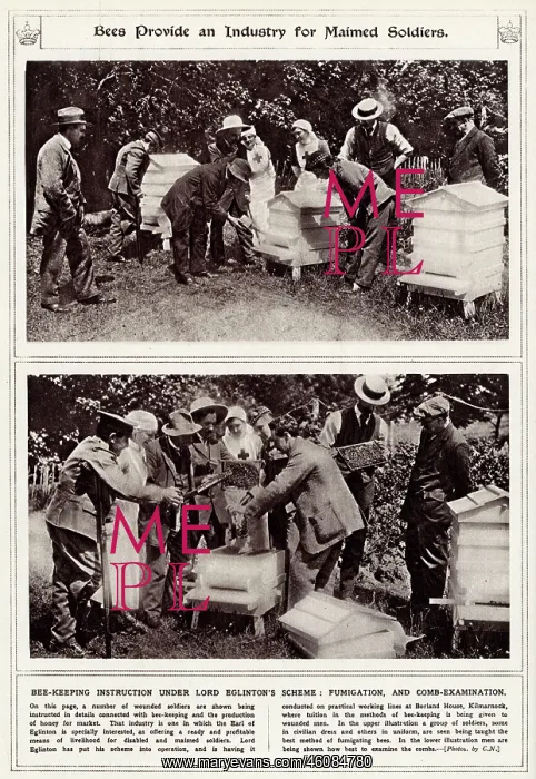 : Bee keeping as an industry for wounded soldiers : Bee keeping as an industry for wounded soldiers