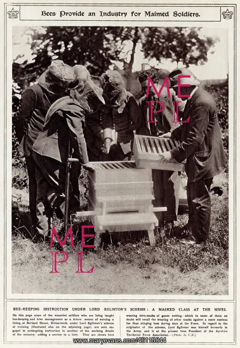 : Bee keeping as an industry for wounded soldiers : Bee keeping as an industry for wounded soldiers