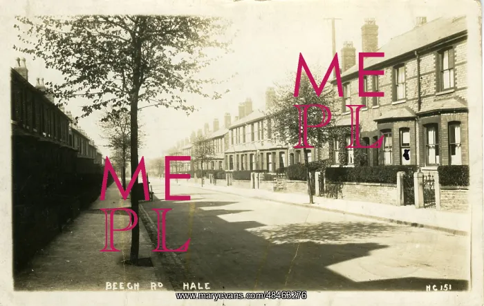  : Beech Road