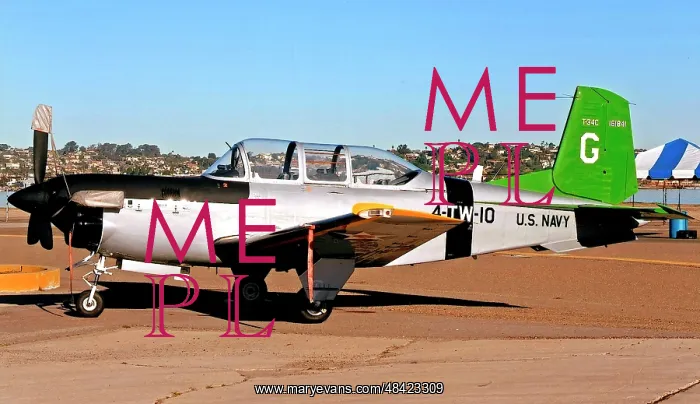: Beech T-34C Turbo-Mentor 161841 : Beech T-34C Turbo-Mentor 161841