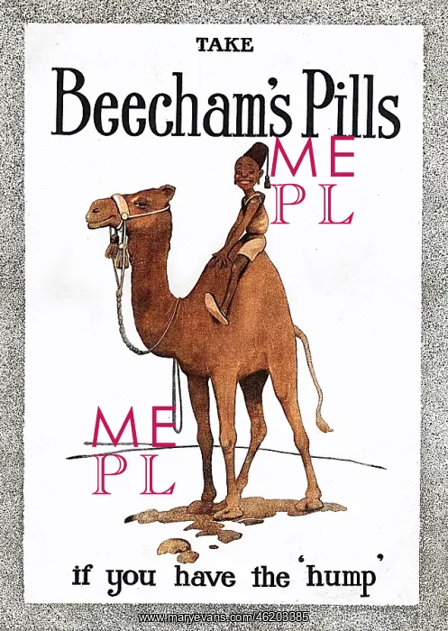 : Beecham's Pills advertisement by Bruce Bairnsfather : Beecham's Pills advertisement by Bruce Bairnsfather