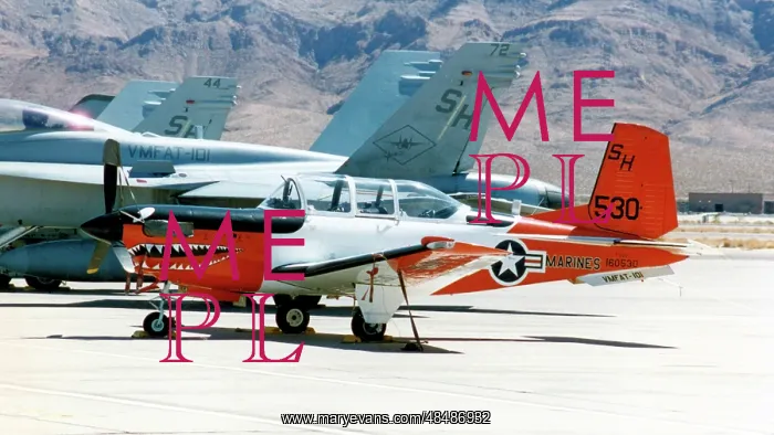 : Beechcraft T-34C Mentor 160530 : Beechcraft T-34C Mentor 160530