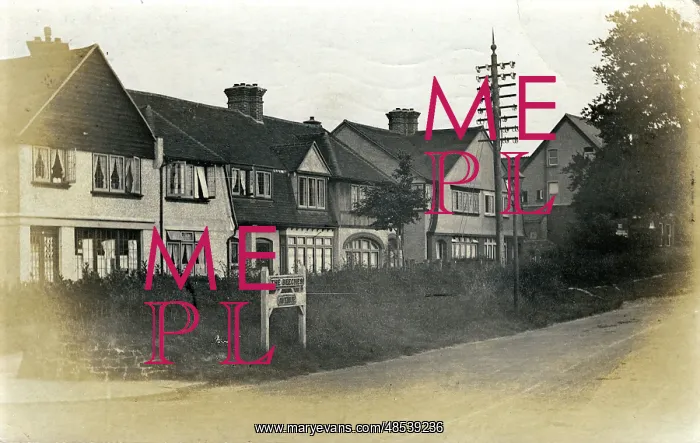 : The Beeches Avenue, Sutton, Surrey : The Beeches Avenue, Sutton, Surrey