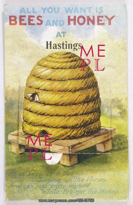  : Beehive - Bee - Honey 1926