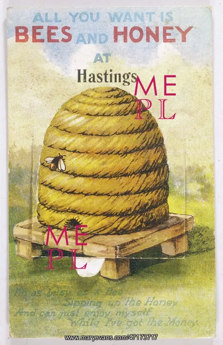  : Beehive - Bee - Honey 1926