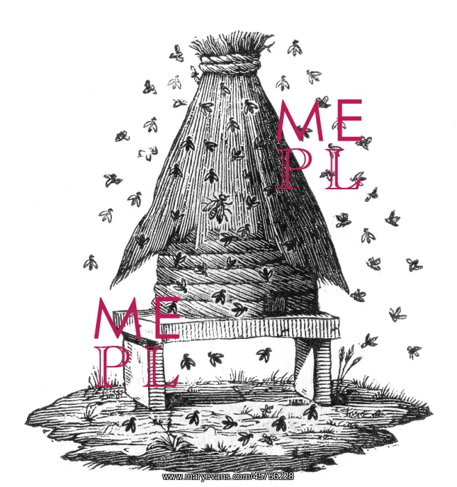  : BEEHIVE AND BEES