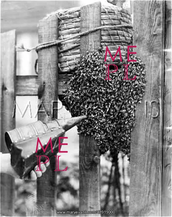 : BEEHIVE ON A GATEPOST : BEEHIVE ON A GATEPOST