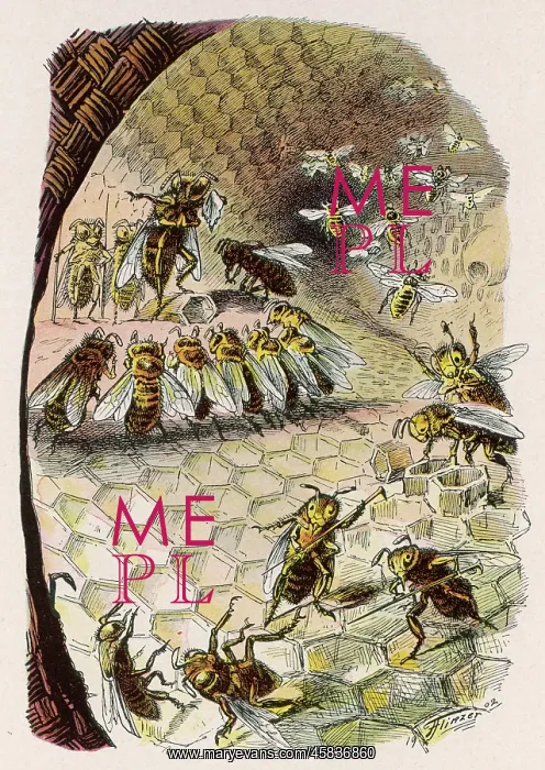  : Beehive scene 1902