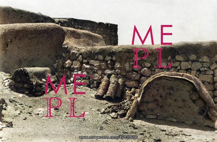  : Beehives in the Holy Land