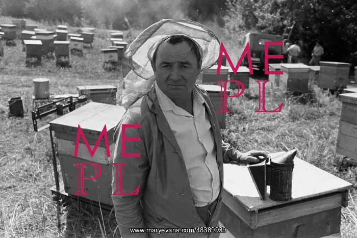 : Beekeeper. KURSK OBLAST, USSR. July 23, 1989 : Beekeeper. KURSK OBLAST, USSR. July 23, 1989