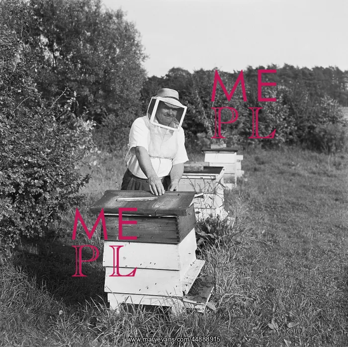: Beekeeper, Shropshire : Beekeeper, Shropshire