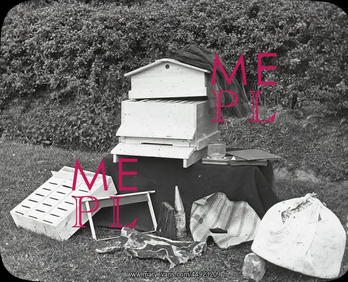 : Beekeeping Lantern Slide series : Beekeeping Lantern Slide series
