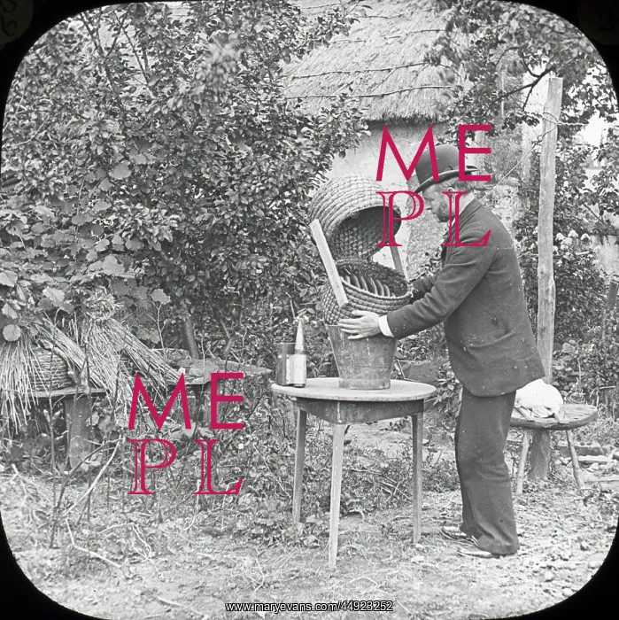 : Beekeeping Lantern Slide series : Beekeeping Lantern Slide series