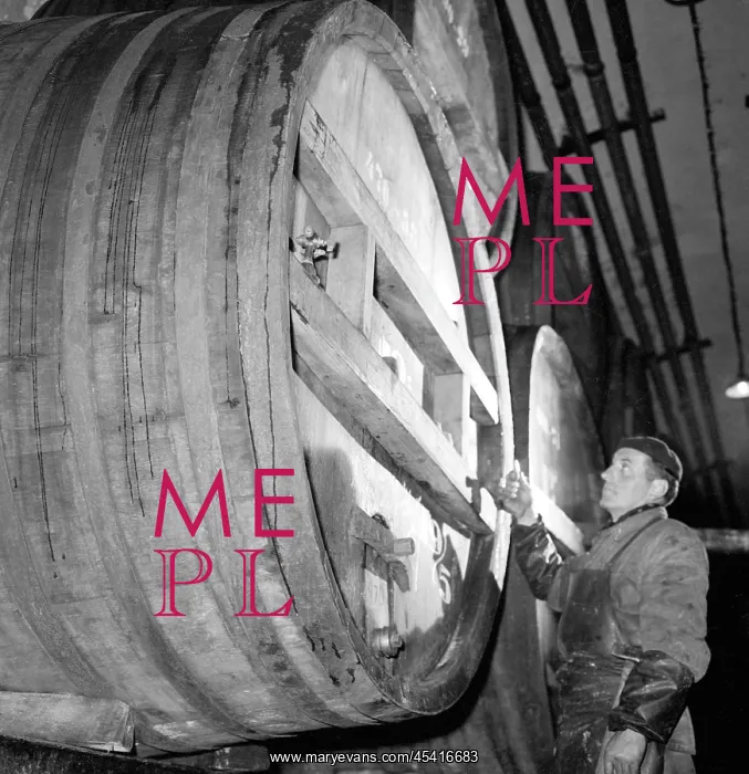 : Beer barrels - beer brewery - Budweis : Beer barrels - beer brewery - Budweis