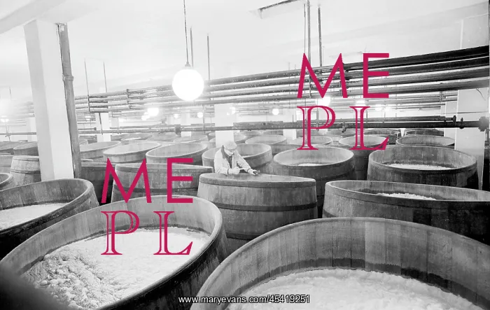 : Beer brewery - malt - hops - aging : Beer brewery - malt - hops - aging