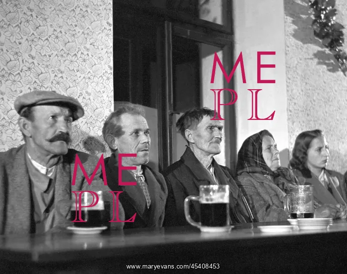 : Beer drinkers : Beer drinkers