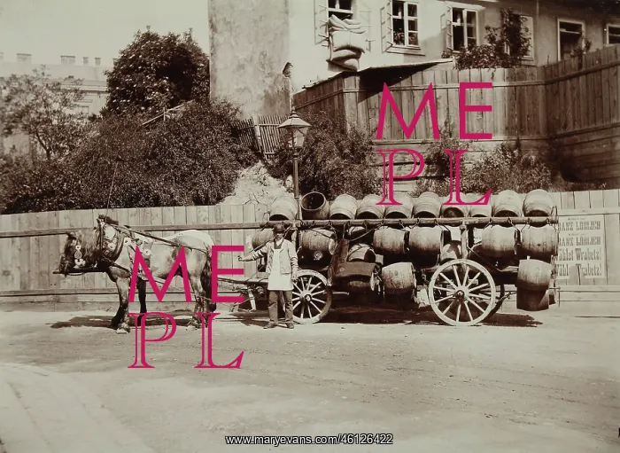 : Beer wagon with driver and two horses - Vienna : Beer wagon with driver and two horses - Vienna