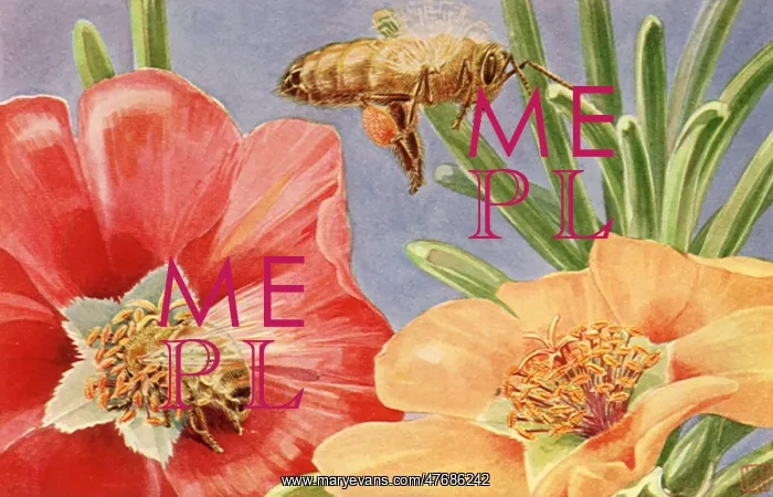  : Bees and Flowers