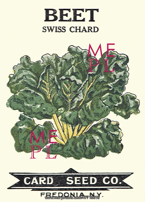  : Beet Seed Packet